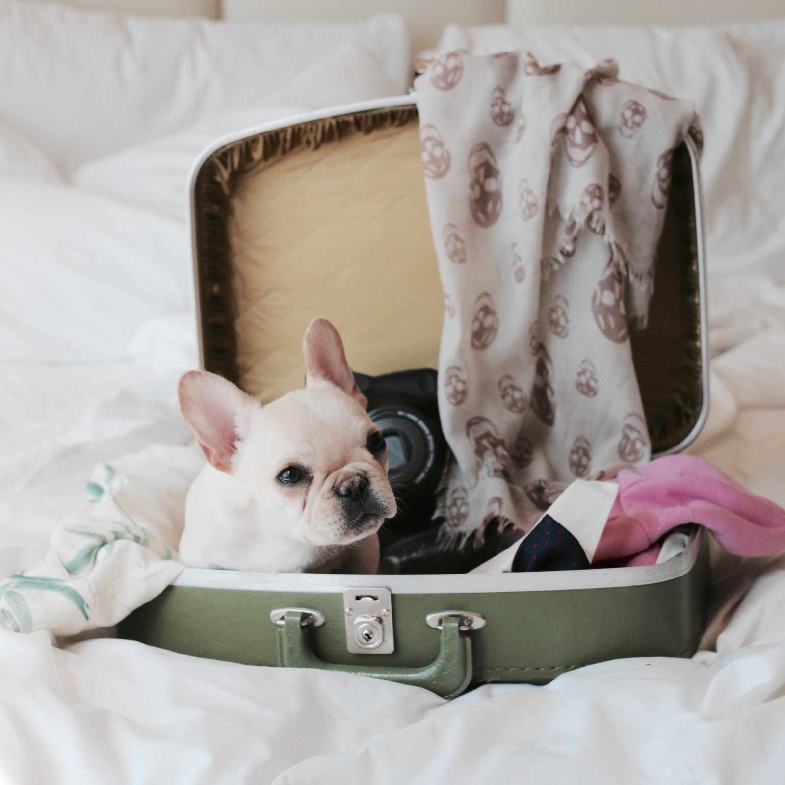 Staycation Paradise—Spend Only Half of This Year's Vacation Money