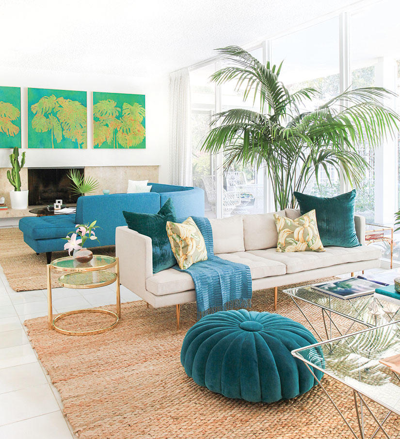 beachy living room with turquoise accents and tropical plants